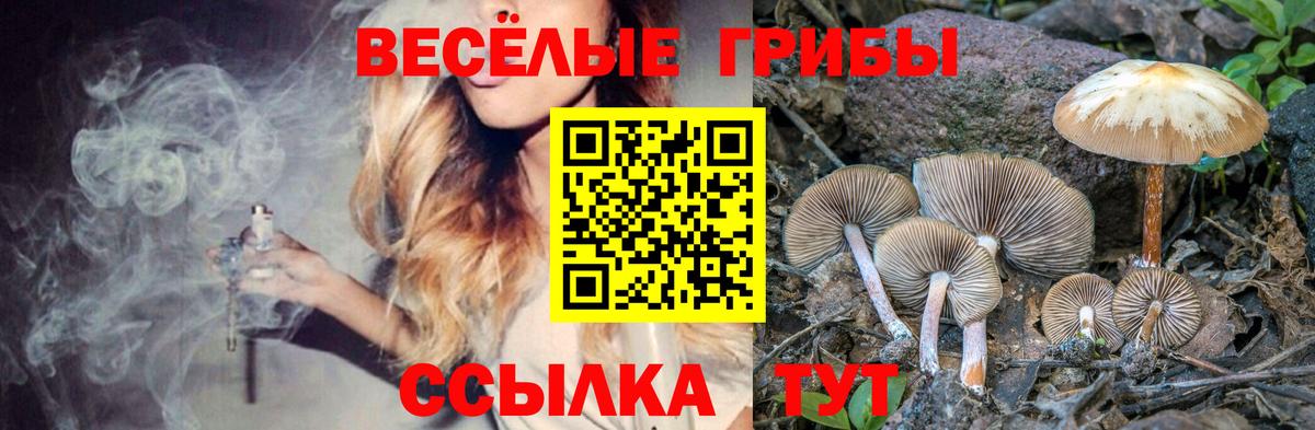 Галлюциногенные грибы ЛСД Феодосия